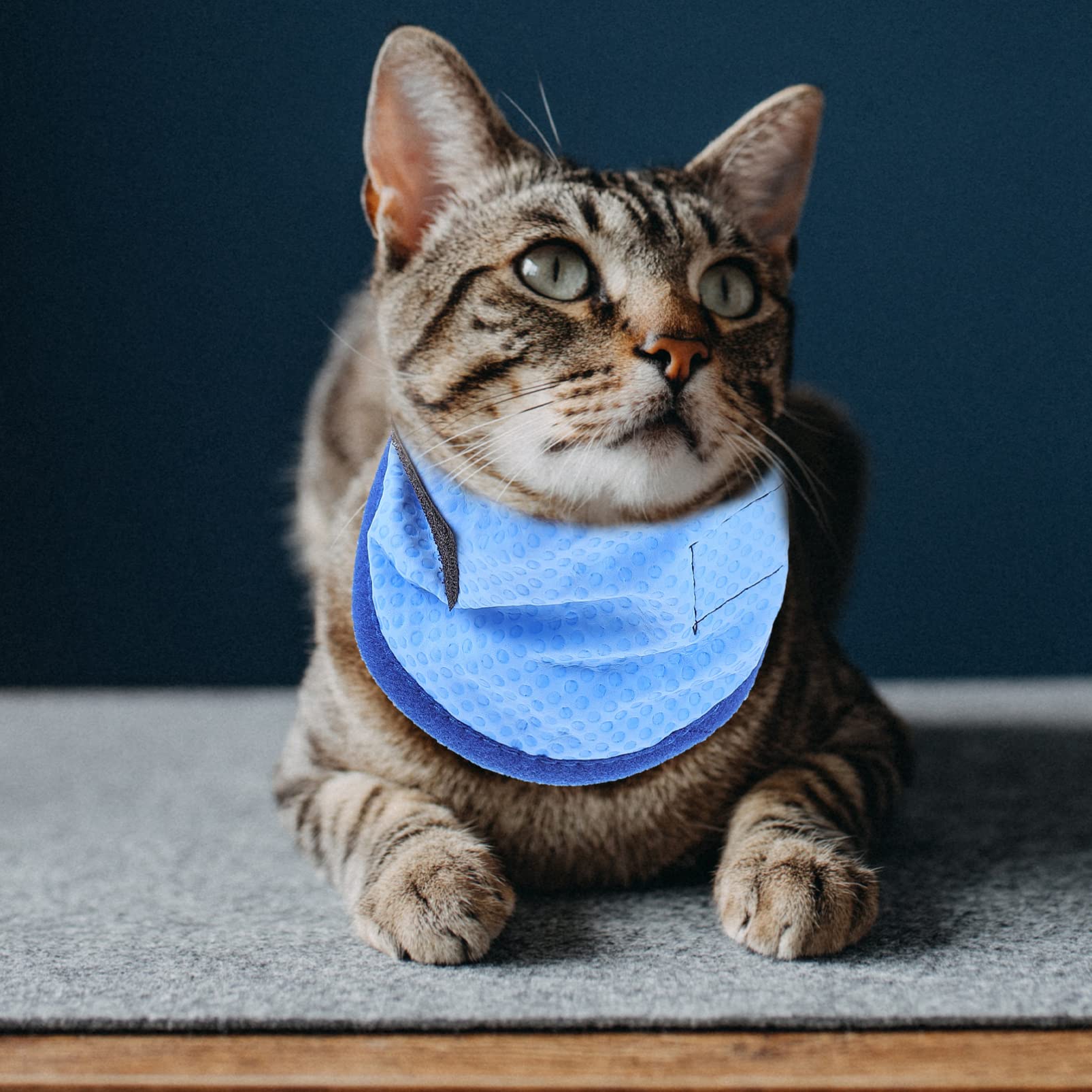 Beavorty 4stücke Pet Kühlbandana Für Hunde Atmungsaktives Kühlhalsband Leichtes Und Hautfreundliches Zubehör Für Und Im Sommer Mit Punkten