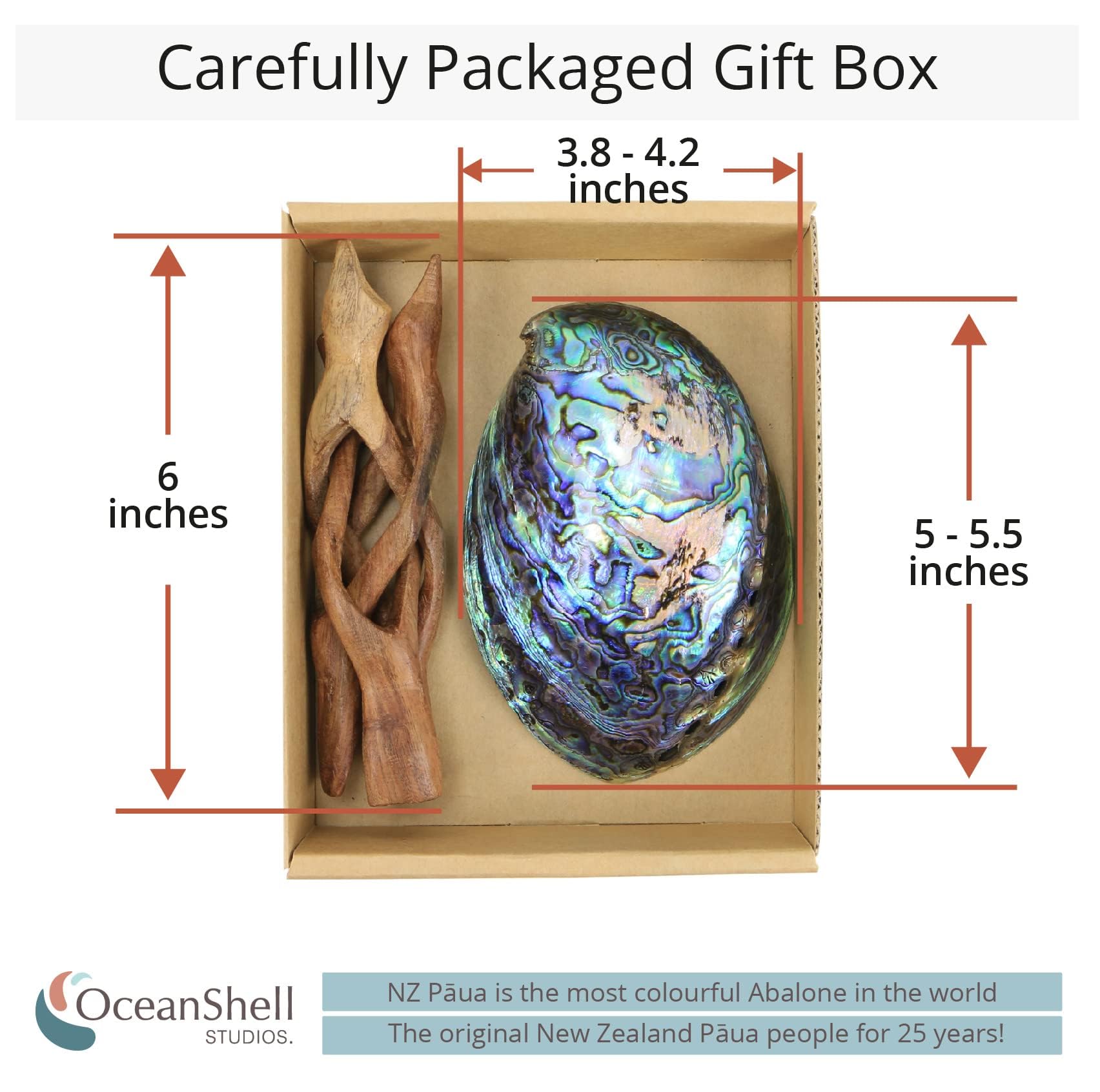 Polished Abalone Shell, 4.5