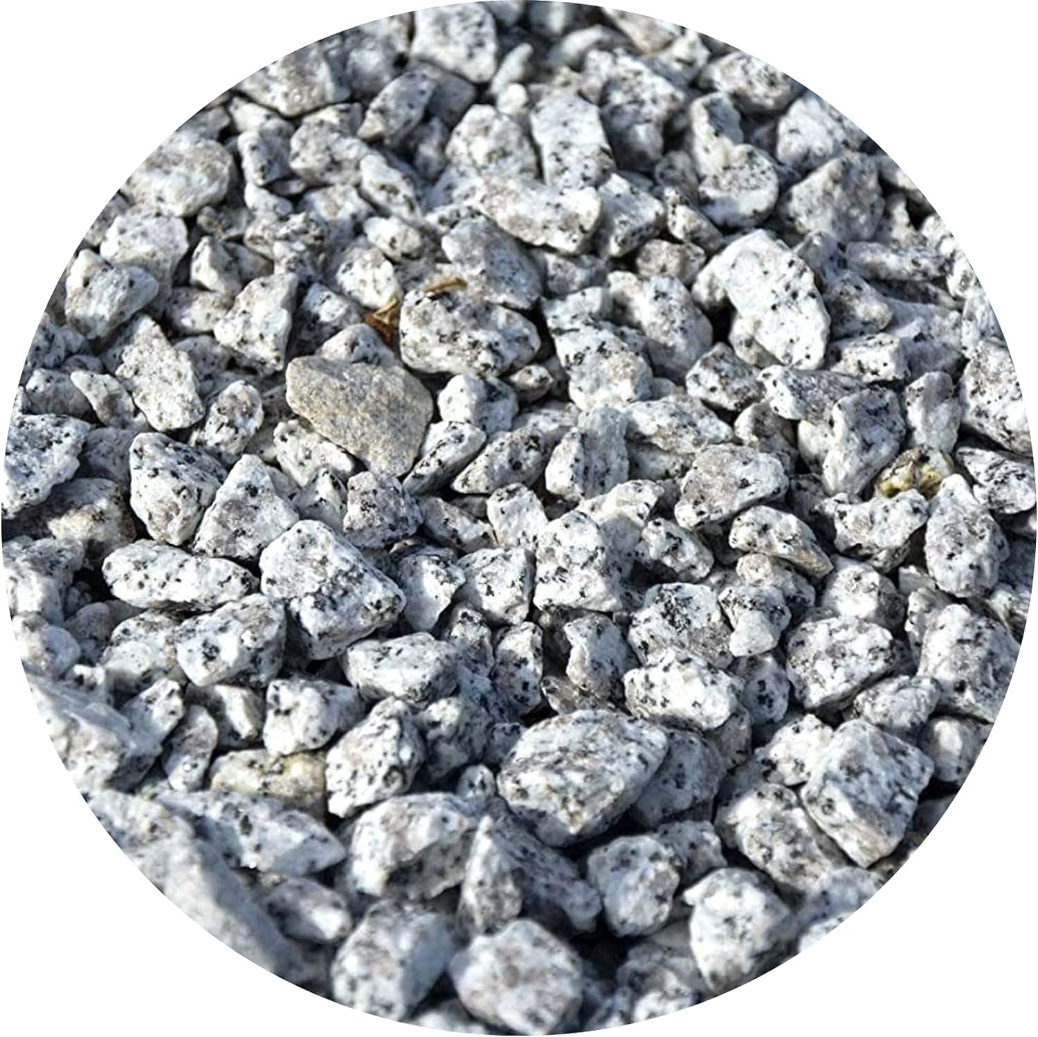 Decorative Garden Stones, Pebbles, Cobbles, Slate, Paddlestones, Gravel, Chippings, Aggregate, 20 kg, Various Colours (Dalamatino chipping 8-16mm)