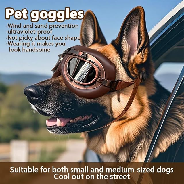 Foto 3 de 7 de BWOOOWE 2 Unidades Gafas de Sol para Perros Estilo Motorista Vintage Gafas de Perro Lentes Moto Protección…