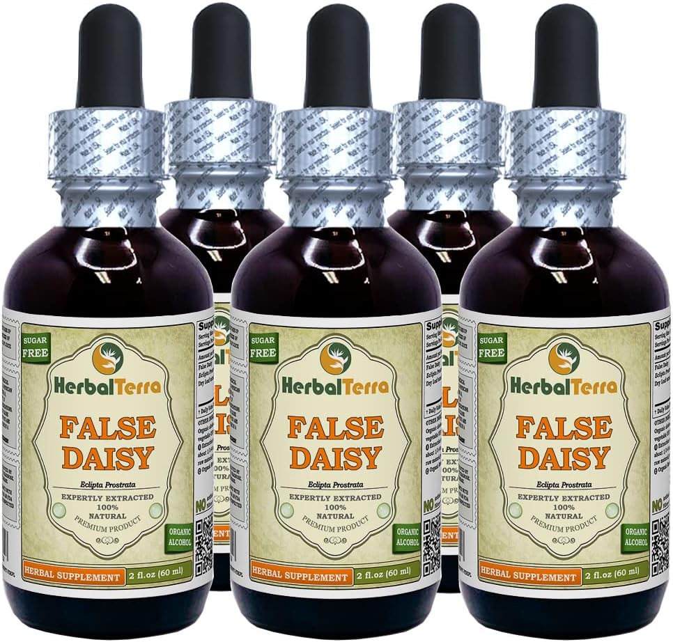 False Daisy (Eclipta Prostrata) Glycerite, Dried Leaves Alcohol-Free Liquid Extract (Brand Name: HerbalTerra, Proudly Made in USA) 2x2 fl.oz (2x60 ml)