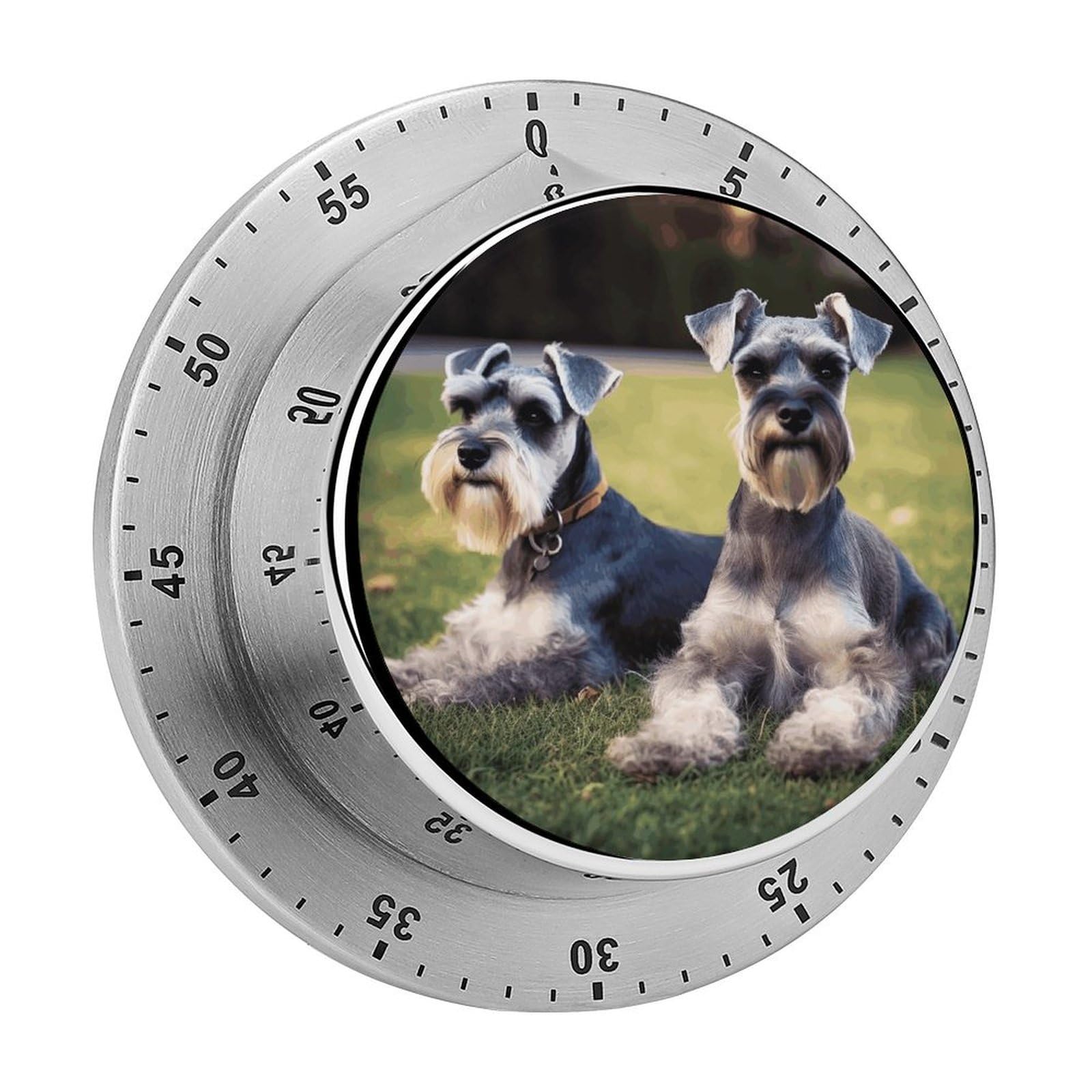 Adult Schnauzer Dogs Visual Timer Cute Desk Timers No Batteries Required Magnetic Indoor Countdown Timers Loud Alarm Exquisite Manual Time Timer Clock for Gift