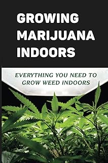 Growing Marijuana Indoors: Everything You Need To Grow Weed Indoors: The Stages Of Cannabis Growth
