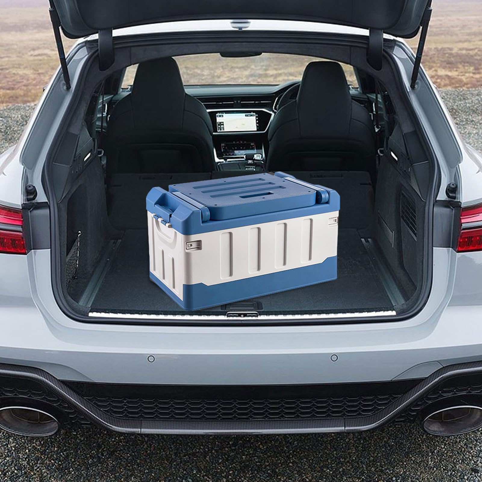 Generisch de aparejos de – Bandeja de almacenamiento de aparejos de | compacta de pescado Lure Tacckle Box | organizadora de cajas | Perfecto para almacenamiento de