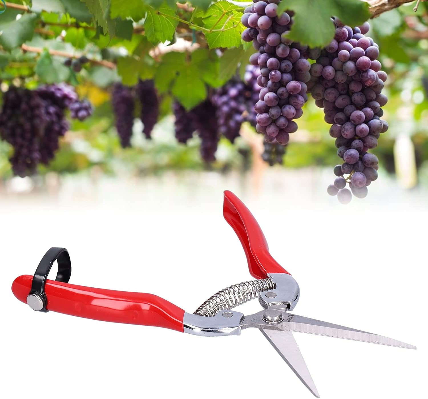 果物狩りはさみ 滑り止めの手持ち剪定ばさみ 花の枝を剪定するための庭の剪定ばさみ 庭で収穫する果物の野菜 最大54 Offクーポン