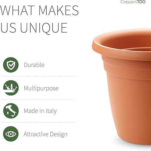 Miniatura 4 de Crescent Too Emma - Maceta, terracota de 6 pulgadas (bolsa de 12)