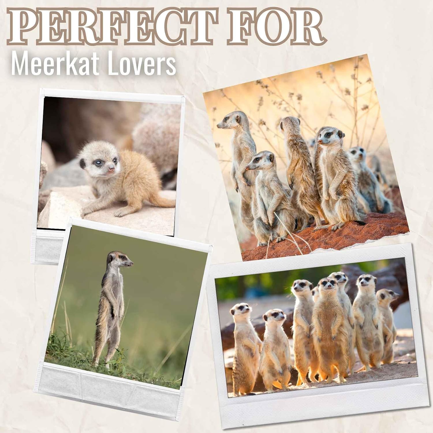 Onebttl Meerkat Gifts for Meerkat Lovers, 20oz Stainless Steel Tumbler with Lid and Straw, Best Meerkat Gifts for Best Friend, Christmas, Birthday