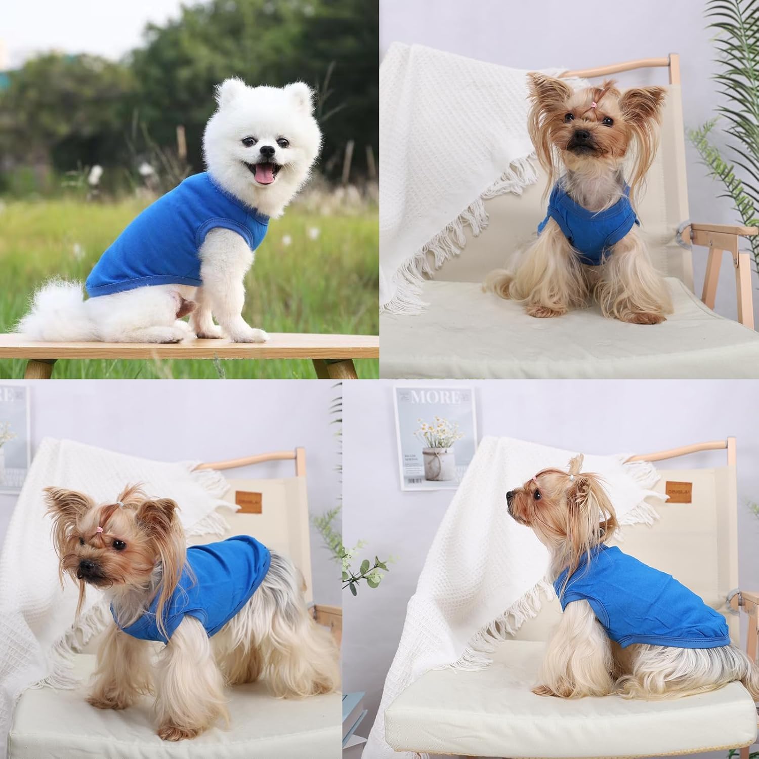 Gilet Rafraîchissant pour Chien,Gilet de Refroidissement pour Chien, Gilets pour Chiens Frais Et Confortable pour L'Été, Adapté Aux Chiens de Petite Et Moyenne Taille/Bleu M