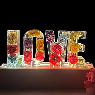 Handmade Floral Resin Dried Roses Night Light Pressed Dry Flower Lights Lamp Gifts for Women Girls Bedroom Decor