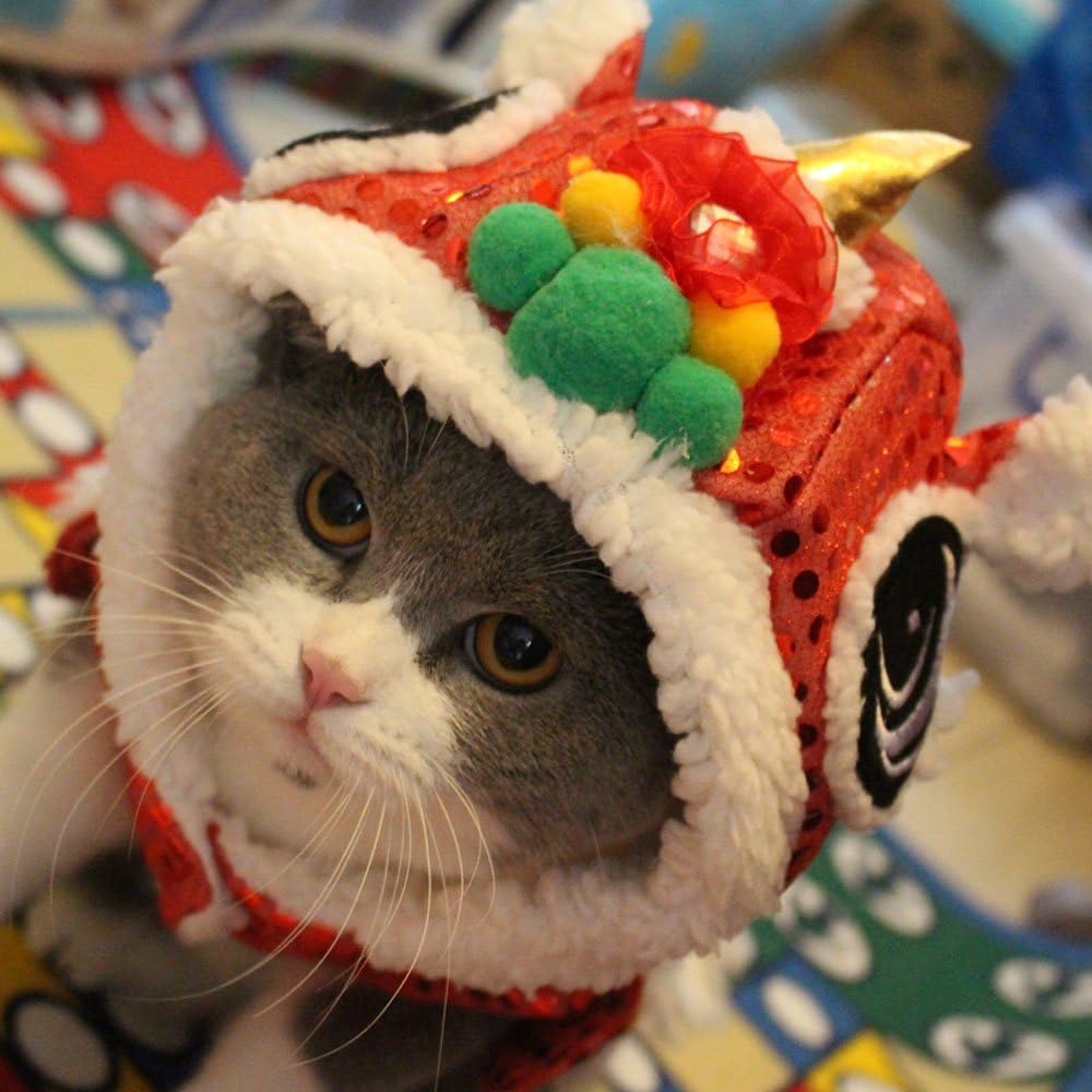 NORBEE Chinese New Year Costume Lion Head Dance Clothes for Pet Dog
