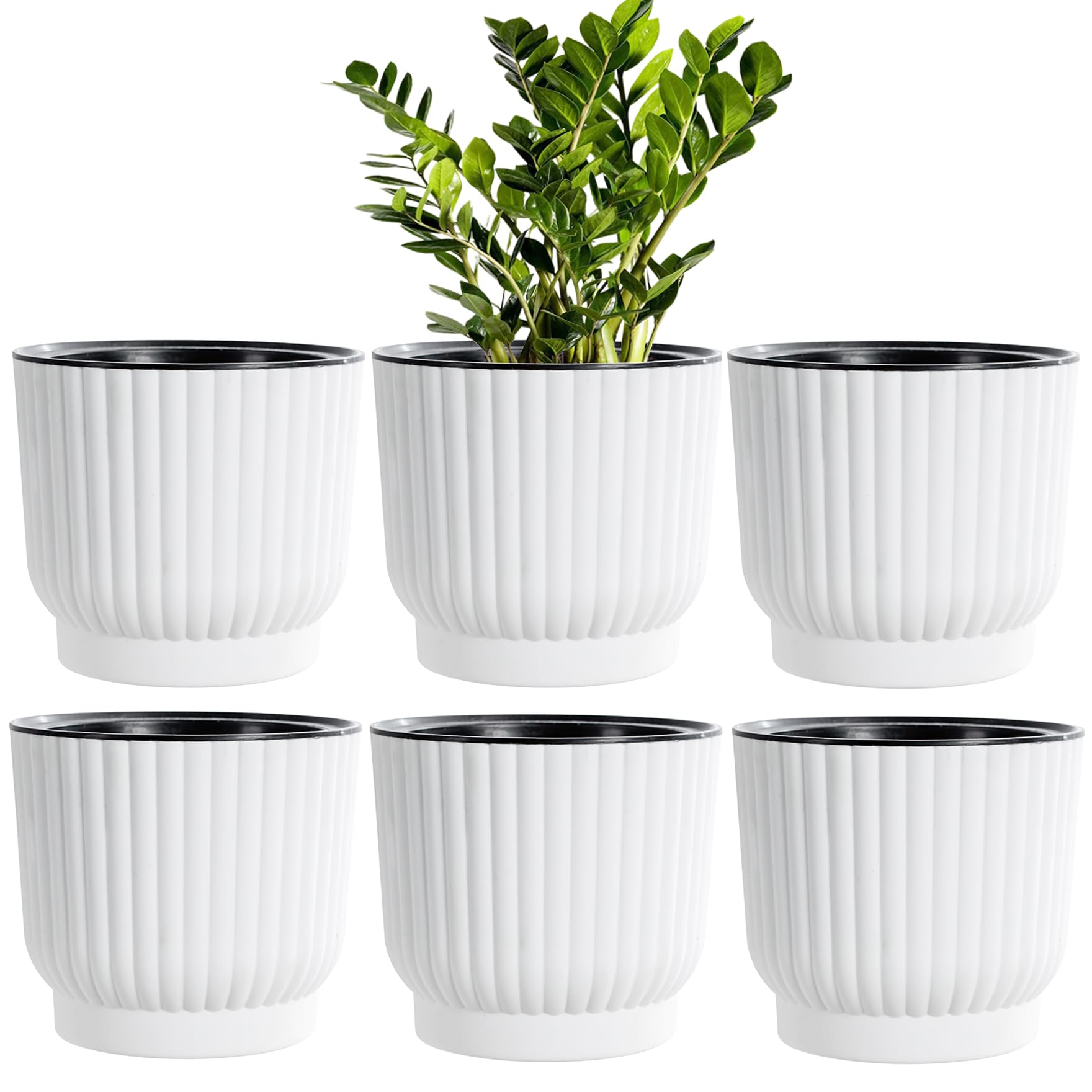 MissFox Macetero de 15 cm, juego de 6 unidades, de plástico, redondas, con sistema de riego, maceta grande, para plantas de interior, para hierbas, cocina, color blanco