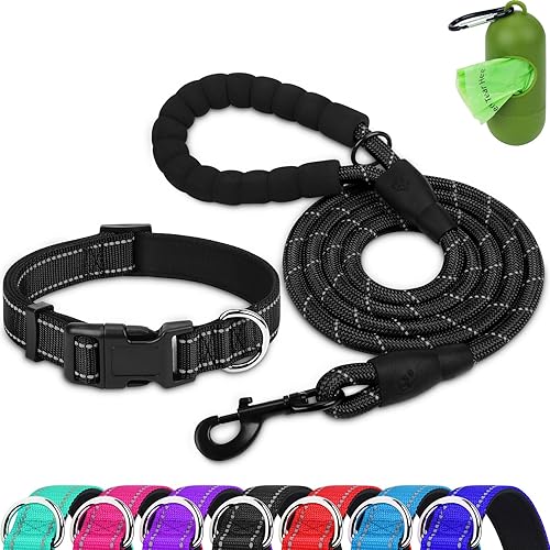 Dynmeow - Juego de collar y correa reflectante para perro, correa de cuerda de escalada resistente de 6 pies con mango acolchado, collar ajustable