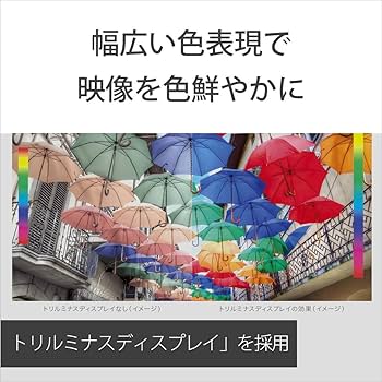 Amazon.co.jp: ソニー 55V型 有機EL テレビ ブラビア KJ-55A8H