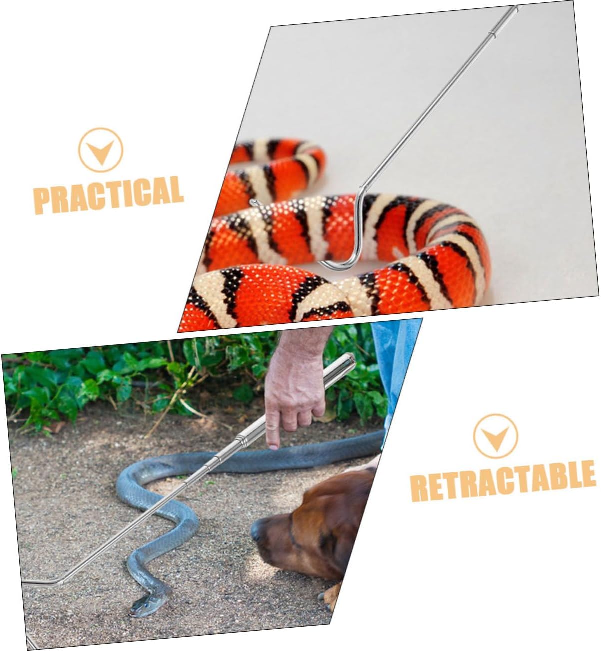 Extendable Stainless Steel Snake Hook for Reptile Handling Compact Design for Catching and Control of Corn Snakes and