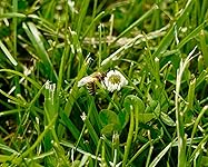 Review Image by Amazon Customer Amazon Customer