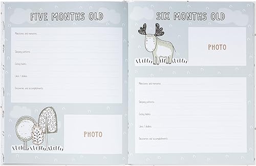 Miniatura 6 de C.R. Gibson Libro de recuerdos Woodland Adventure (B2-25349)