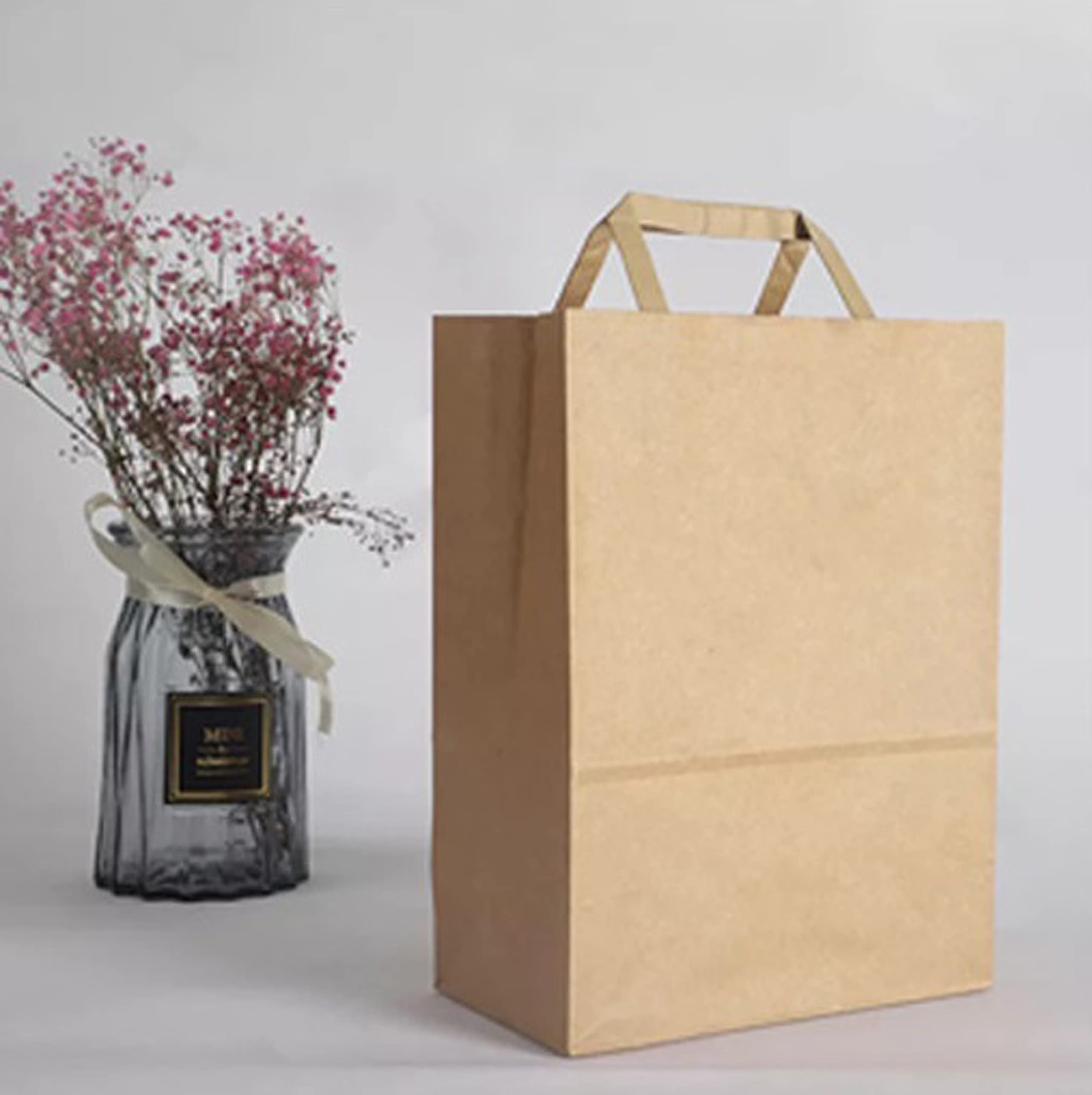 JeCo - Lot de 250 Sacs Cabas en Papier Kraft Brun avec poignée Plate 18 x 8 x 22 cm 3 litres résistant Papier 80g/m² Sac Marron Havane Vente à emporter Emballage Commerce Sac Cadeau