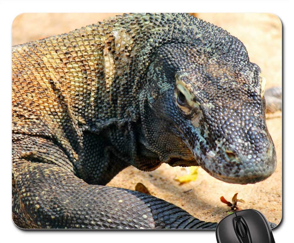 Amazon Co Jp マウスパッド コモドドラゴン トカゲ 爬虫類 自然の生き物 パソコン 周辺機器 Amazon Co Jp マウスパッド コモドドラゴン トカゲ 爬虫類 自然の生き物 パソコン 周辺機器