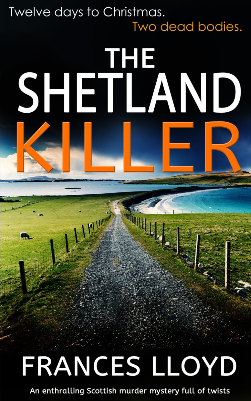 THE SHETLAND KILLER an enthralling Scottish murder mystery full of twists (Detective Inspector Jack Dawes Mystery)