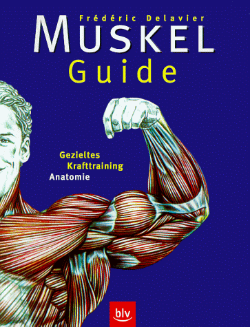 Preisvergleich Produktbild Muskel-Guide: Gezieltes Krafttraining, Anatomie