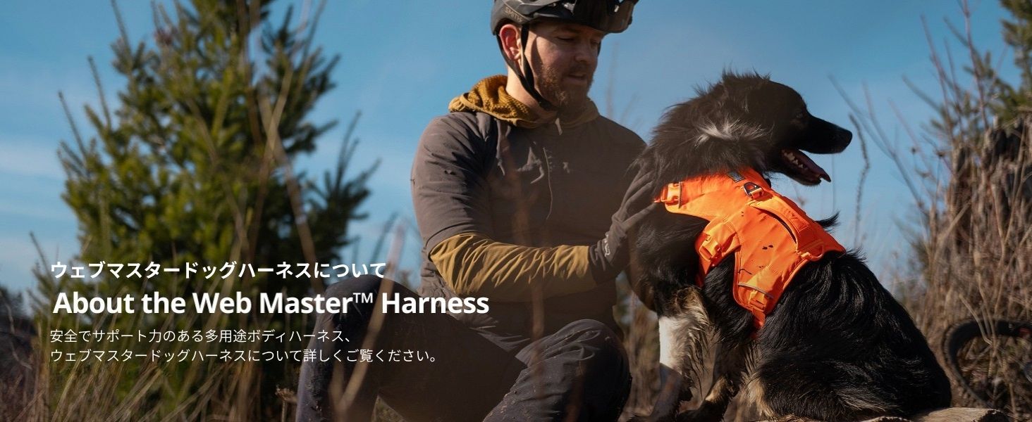 Amazon | RUFFWEAR(ラフウェア) ウェブマスタードッグハーネス(SS25