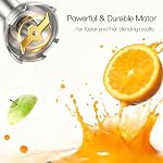 MEGAWISE 5-in-1 Immersion Blender, Hand Blender and Immersion Mixer, 12-Speed Handheld Corded Stick Mixer for Kitchen, Stainless Steel Blades, 500ml Chopper, 600ml Beaker, Whisk and Milk Frother