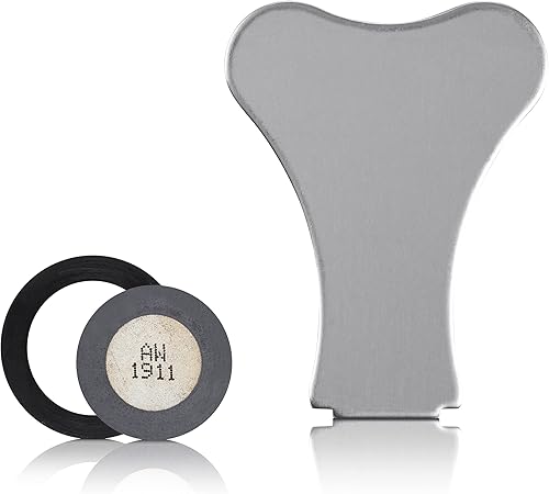 Alpine Corporation FDGR3 Alpine FG100 - Kit de mantenimiento de disco de nebulizadorMister de 0.630in, color gris