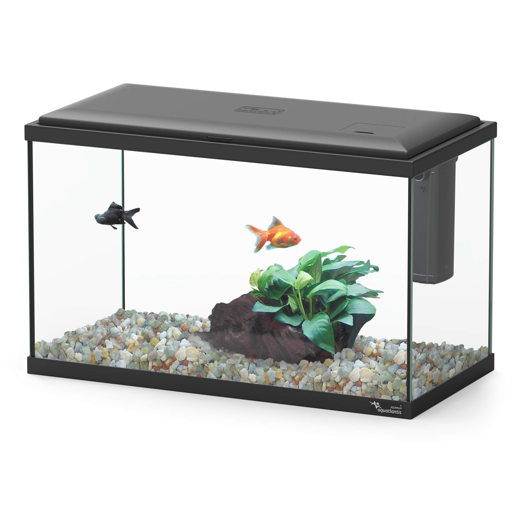 Aquatlantis Explorer Lisbon Aquarium schwarz, 1er Pack (1 x 3200 g)