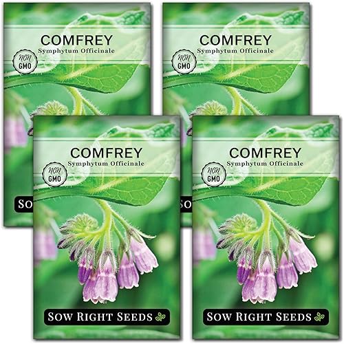 Sow Right Seeds - Semillas de consuelda para plantar - Paquete de reliquia sin OMG con instrucciones para plantar un jardín de hierbas al aire libre