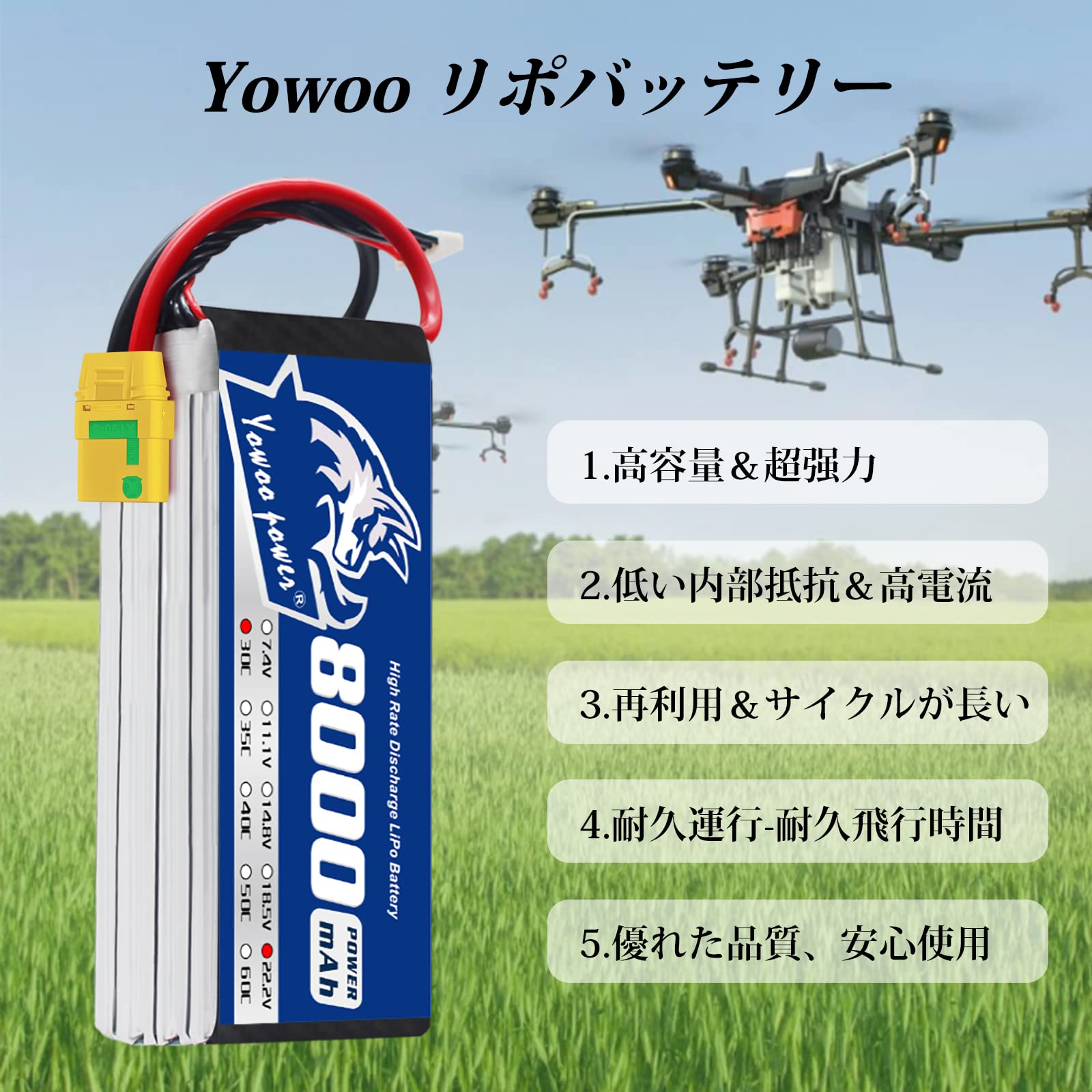 Amazon.co.jp: Yowoo 6S 22.2V Lipo バッテリー 8000mAh 30C with 