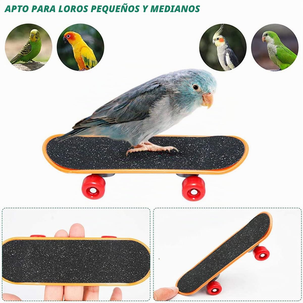 Juego de 4 Piezas Juguetes de Adiestramiento de Aves - Set de Conjunto de Entrenamiento de Actividad e Inteligencia para Loros, Agapornis, Periquitos, Pajaros #6
