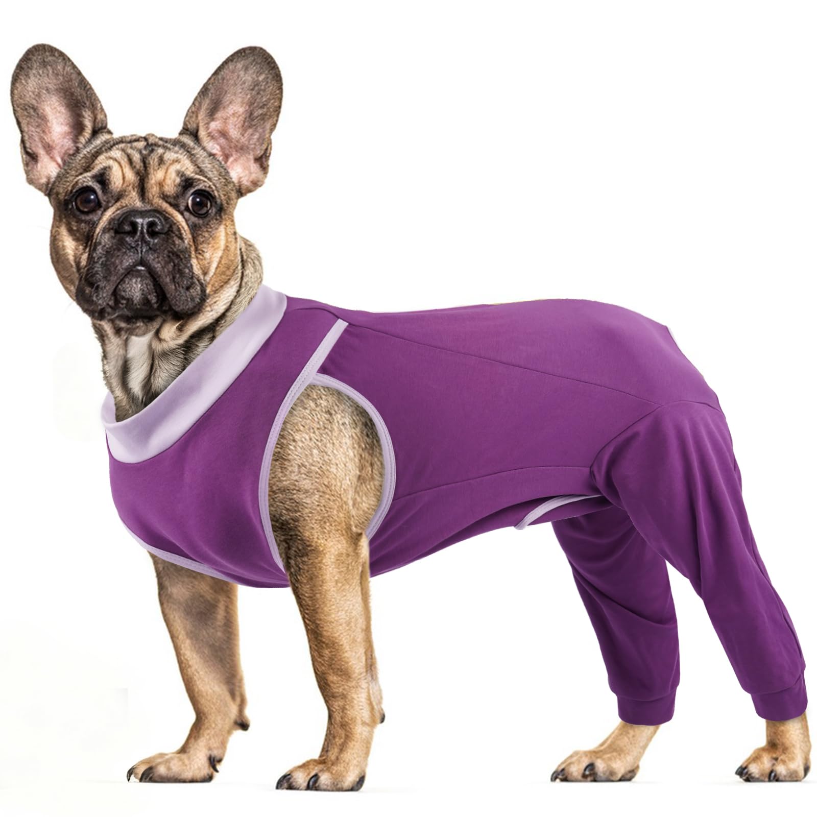 PUMYPOREITY Dog Recovery Suit Back Legs, Breathable Recovery Suit Rear Legs Female Dog Surgical Vest Postoperative Clothing(Purple, M)