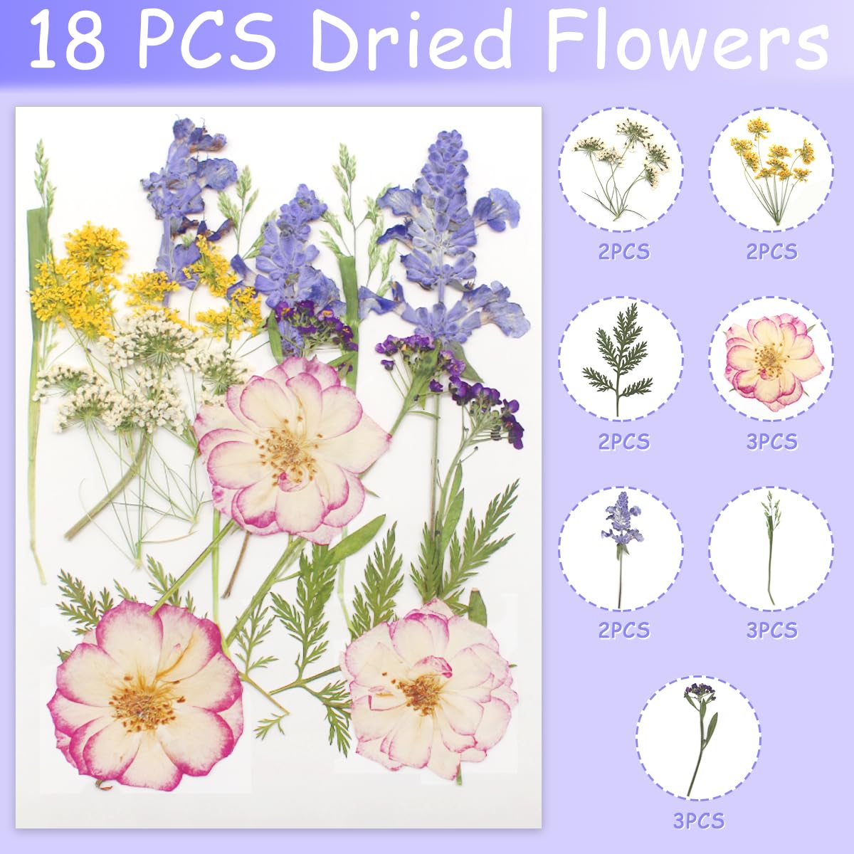 Cinvo 56 Pcs Real Dried Pressed Flowers and Leaves Natural Dried Petals Greenery with Tweezer for Candle Resin Jewelry Soap Nail Pendant Phone Case Crafts Making Floral Decors DIY Embellishments - Image 4