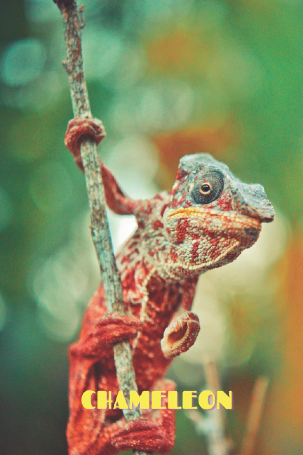 CHAMELEON Notebook: Animal Notebook, Journal, Diary
