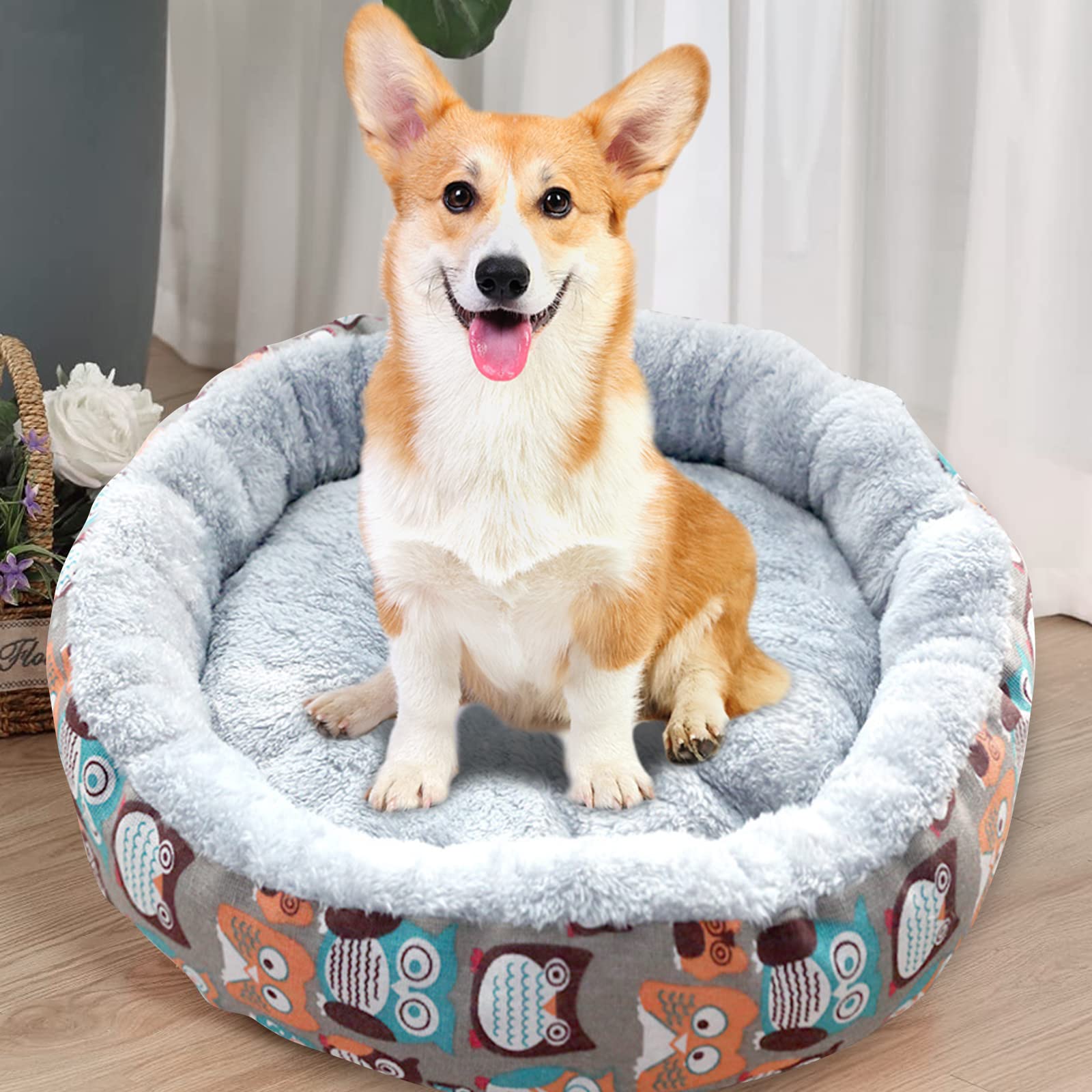 PETCUTE Haustierbett für Katzen und Hunde,Runde Donut Katzenbett Katzenkorb,Katzenkissen,Waschmaschinenfest Orthopädisches Hundebett für Kleine Hunde,Hundebett mit Rutschfestes Boden