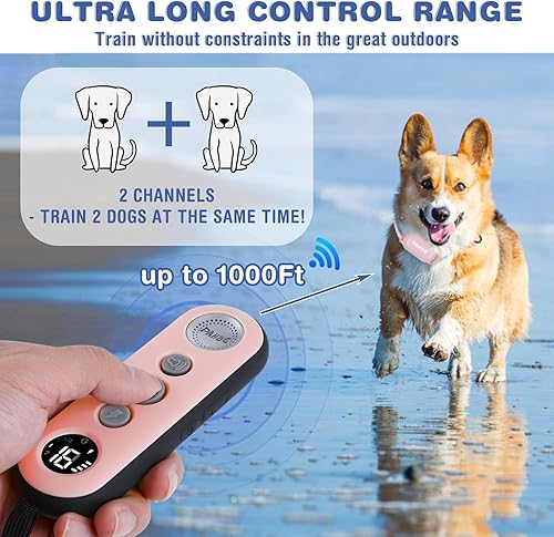 Miniatura 4 de Collar de choque para perro, collar de entrenamiento impermeable para perros con control remoto de 1000 pies, collar de descarga eléctrica