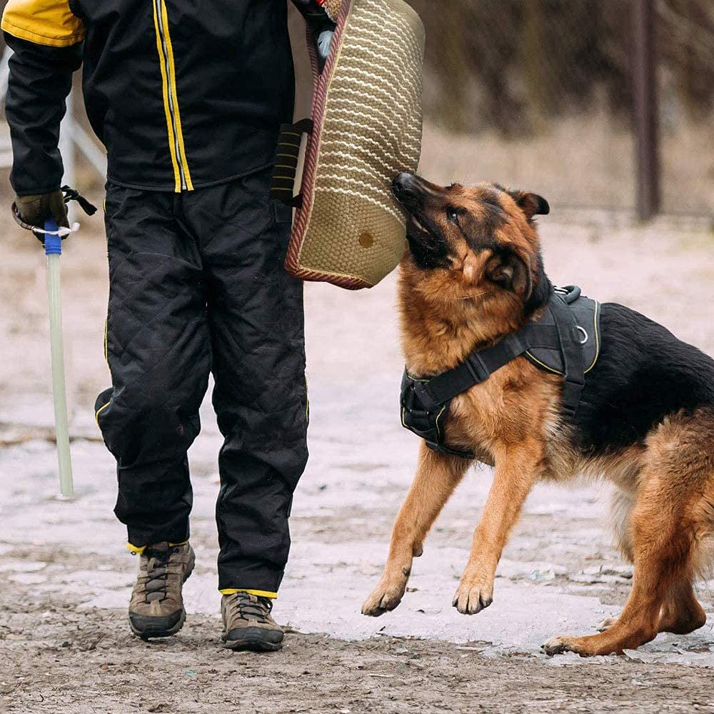 PetGens Equipement d'Education de Chien Chiot Manche de Protection Manche Anti Morsure pour Le Travail De Jeunes Chiens