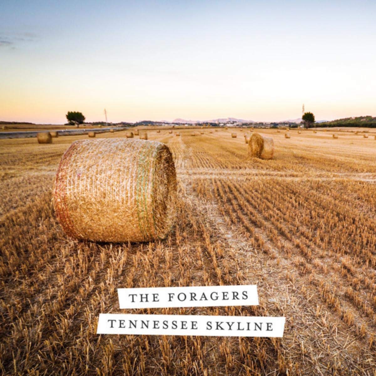 The Foragers
