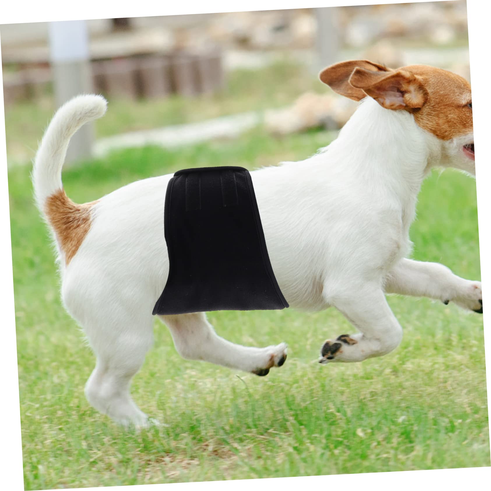 BESPORTBLE 3pezzi Banda Addominale Lavabile Per Cani Maschi Pannolino Riutilizzabile Per Animali Domestici Design Assorbente e Misura Media Ottima Per Uso Domestico e Viaggi