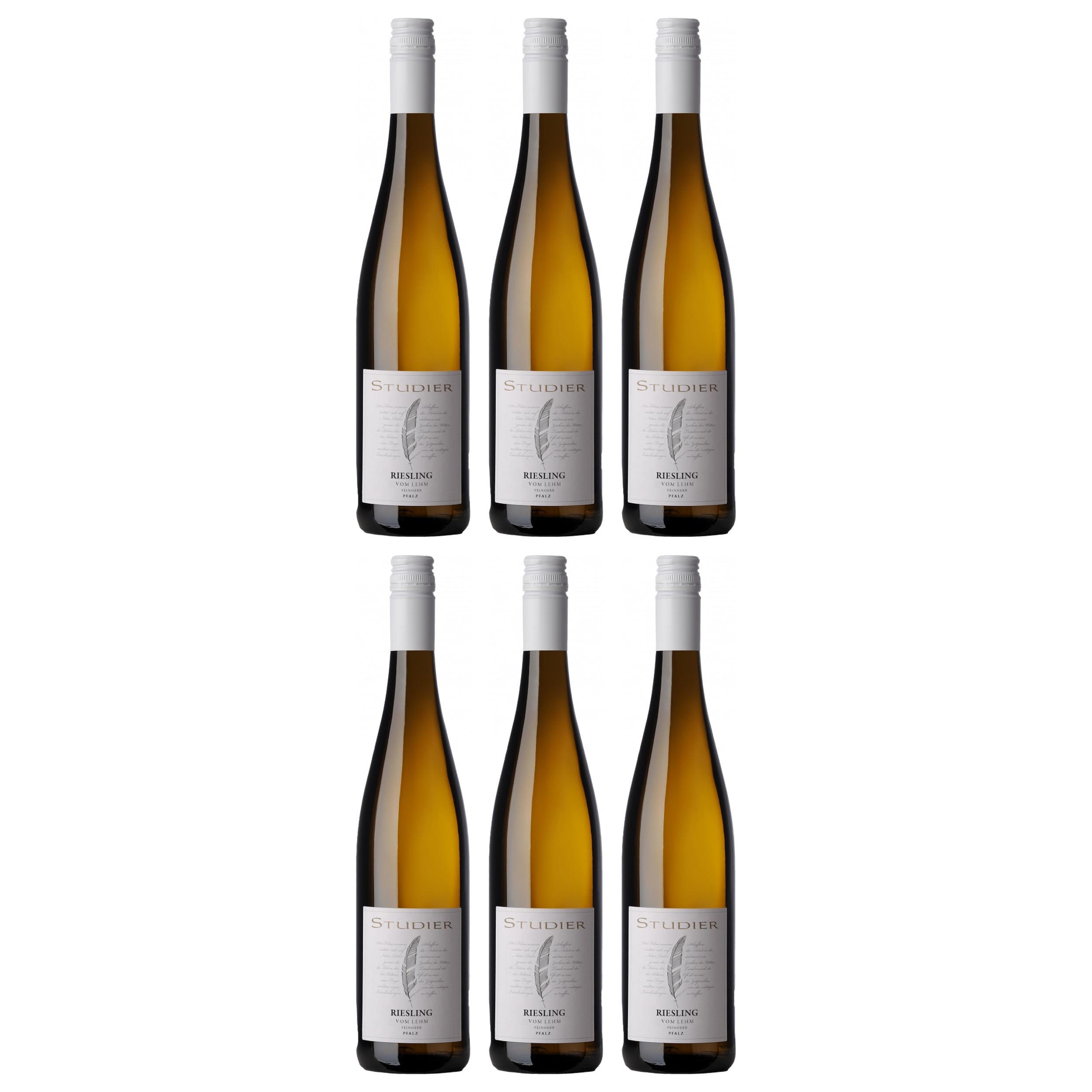 Weingut Studier Riesling vom Lehm feinherb BIO vegan Deutschland inkl. FeinWert E-Book (6 x 0.75 l)