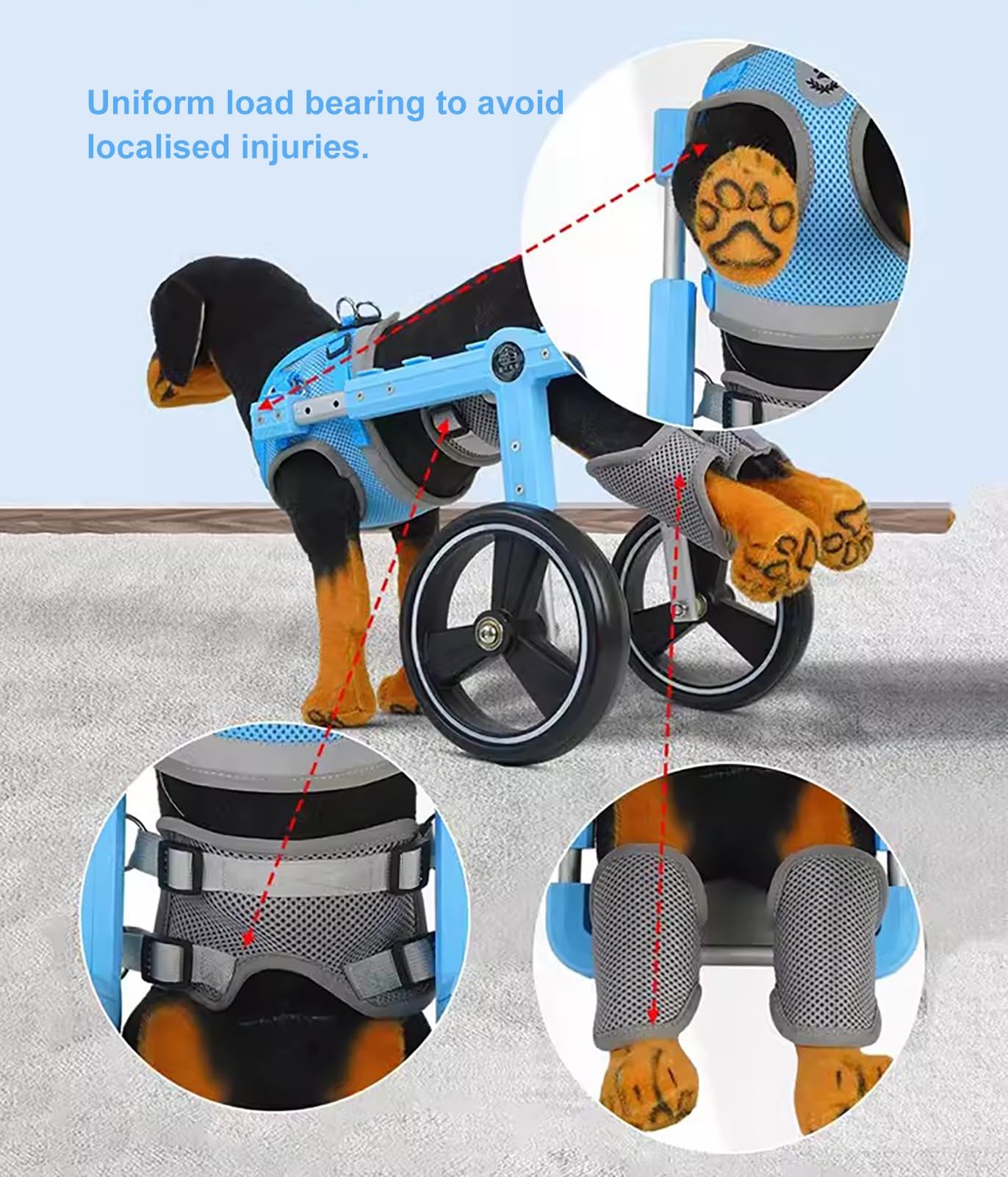 Carrello Cani Disabili Carrozzina per Cani a 2 Ruote per Zampe Posteriori, Ausilio Leggero per la Mobilità Dei Cani per Zampe Posteriori, Carrello di Supporto per L'addestramento Alla Riabilitazione(S