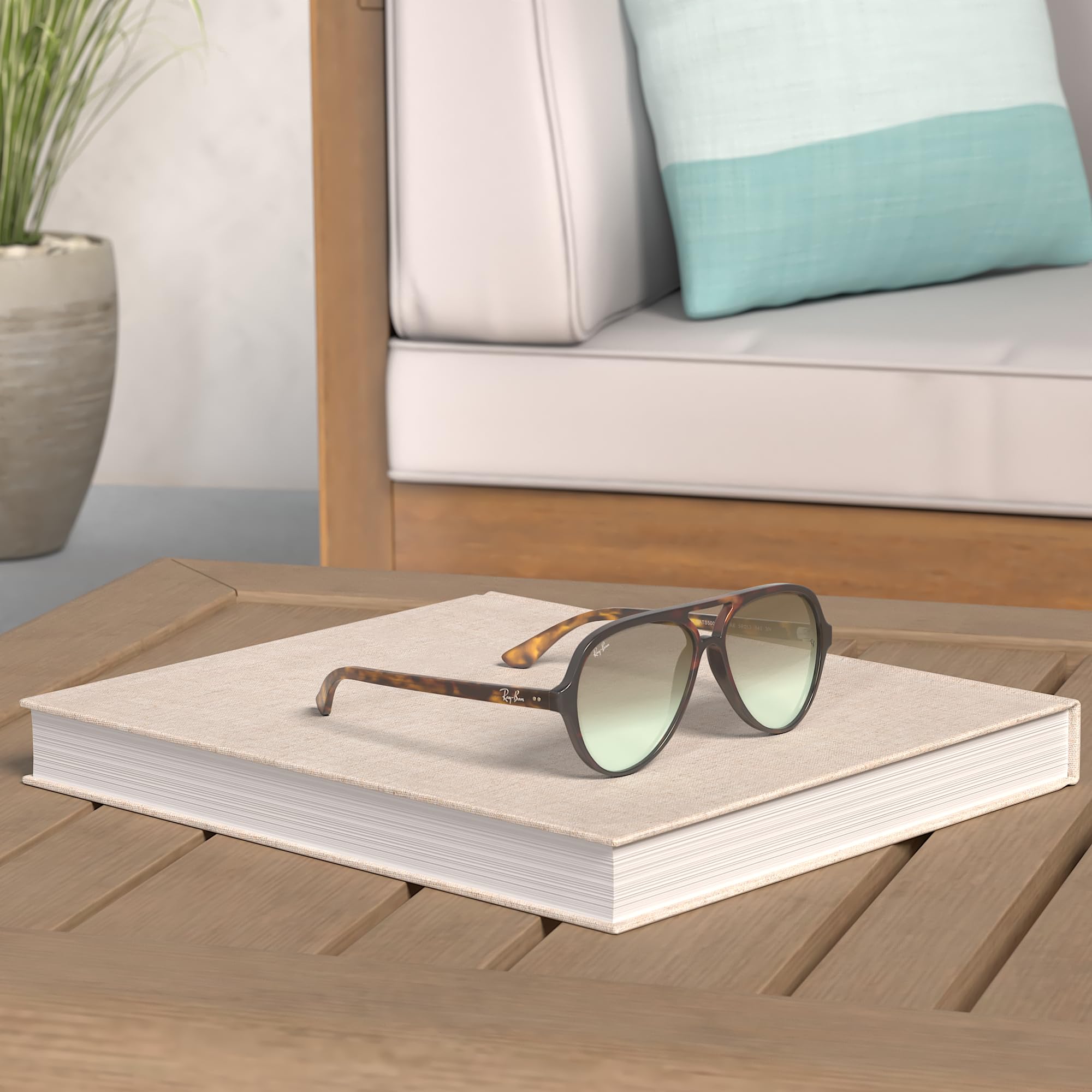 Ray-Ban RB4125 Cats 5000 Sunglasses + Vision Group Accessories Bundle