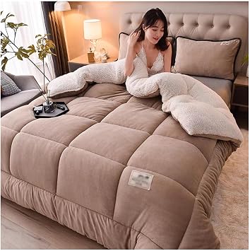 ZTGL Luxury Winter Quilt Thicken Warm Blankets for Adults, Super Soft Fuzzy Flannel Fleece/Wool Like Reversible Velvet Plush Couch Blanket Lightweight Breathable,D,220x240cm5kg