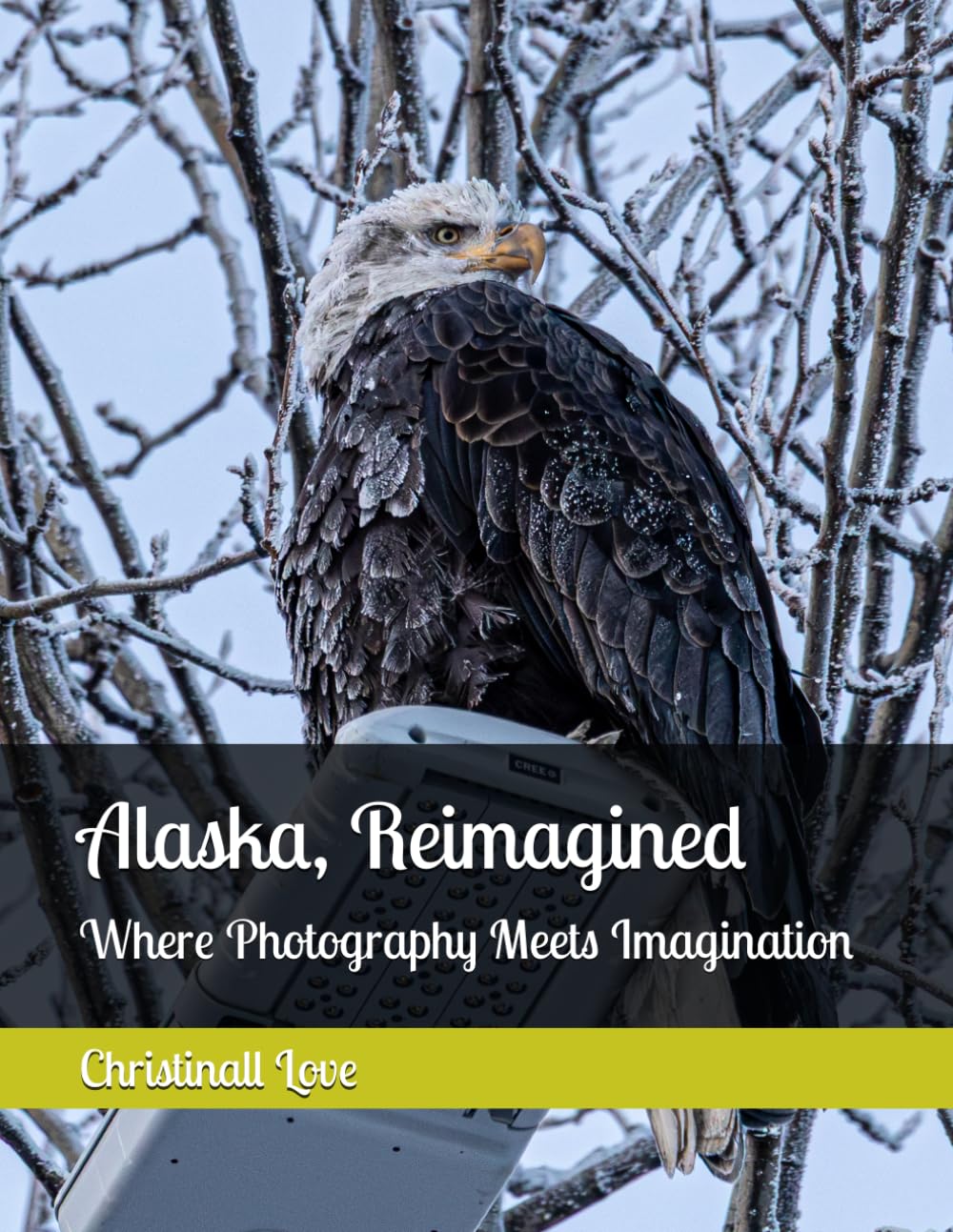 Alaska, Reimagined: Where Photography Meets Imagination