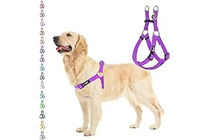 PUPTECK No Pull Dog Harness for Beach