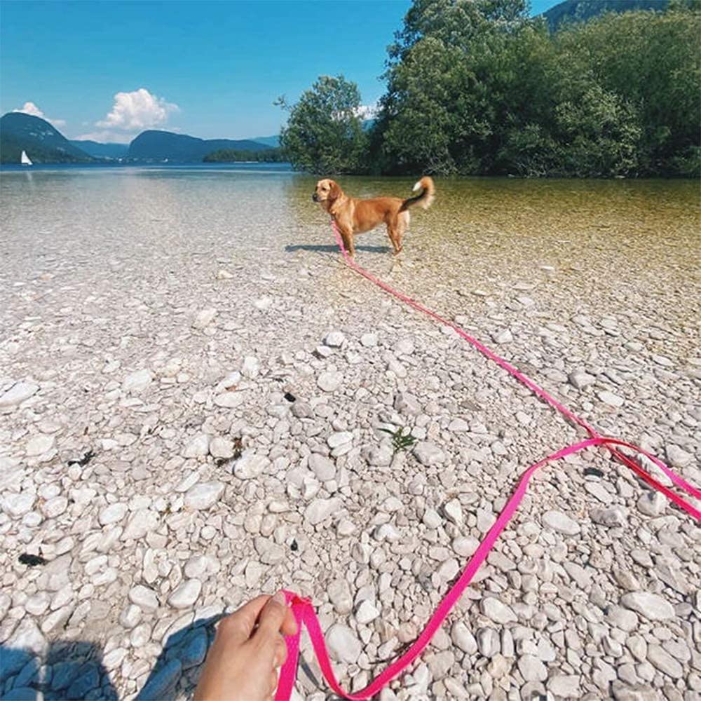 Waterproof Dog Training Leash 50FT 30FT 15FT 10FT 5FT Heavy Duty Recall Long Lead for Large Medium Small Dogs (30FT, Pink) - image 7