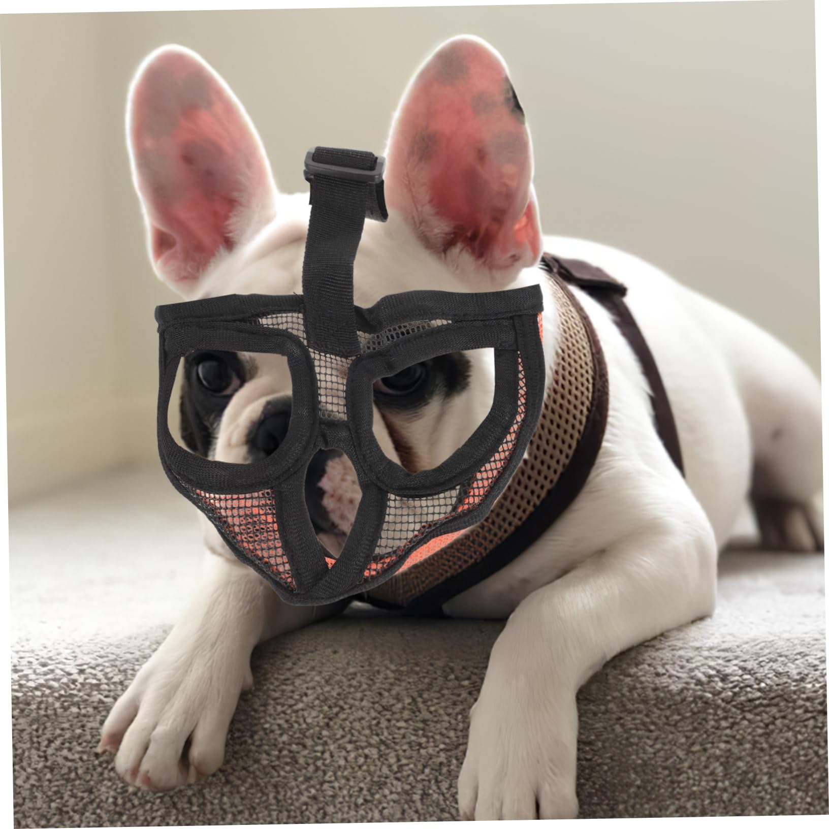 SUPVOX 5pièces Muselière Ajustable Respirante pour Chien Les Morsures Et Aboiements Confort Optimal pour Sorties Plein Air Léger Et