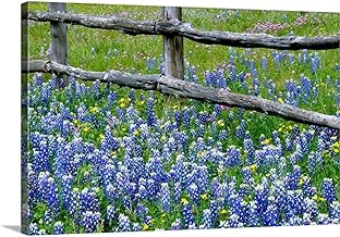 CANVAS ON DEMAND Bluebonnet Flowers Blooming Around Weathered Wood Fence, Texas Canvas Wall Art Print, Home Decor, Spring, United States Floral Artwork, 36" x24in