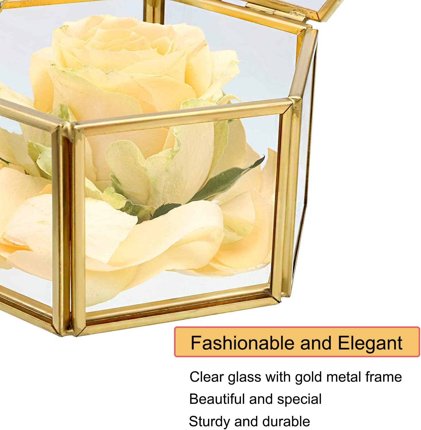 DRERIO Glass Jewelry Box - Small Decorative Display Case, Hexagon Ring Holder, Golden Trinket Storage Organizer for Earrings - Image 4