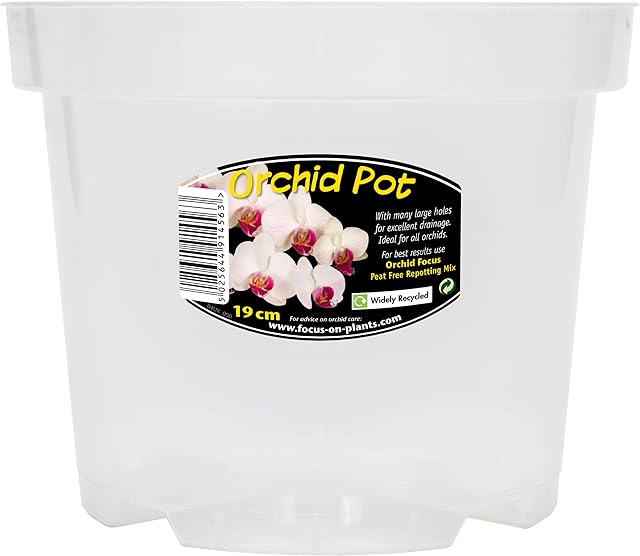 Clear Orchid Pot 19cm